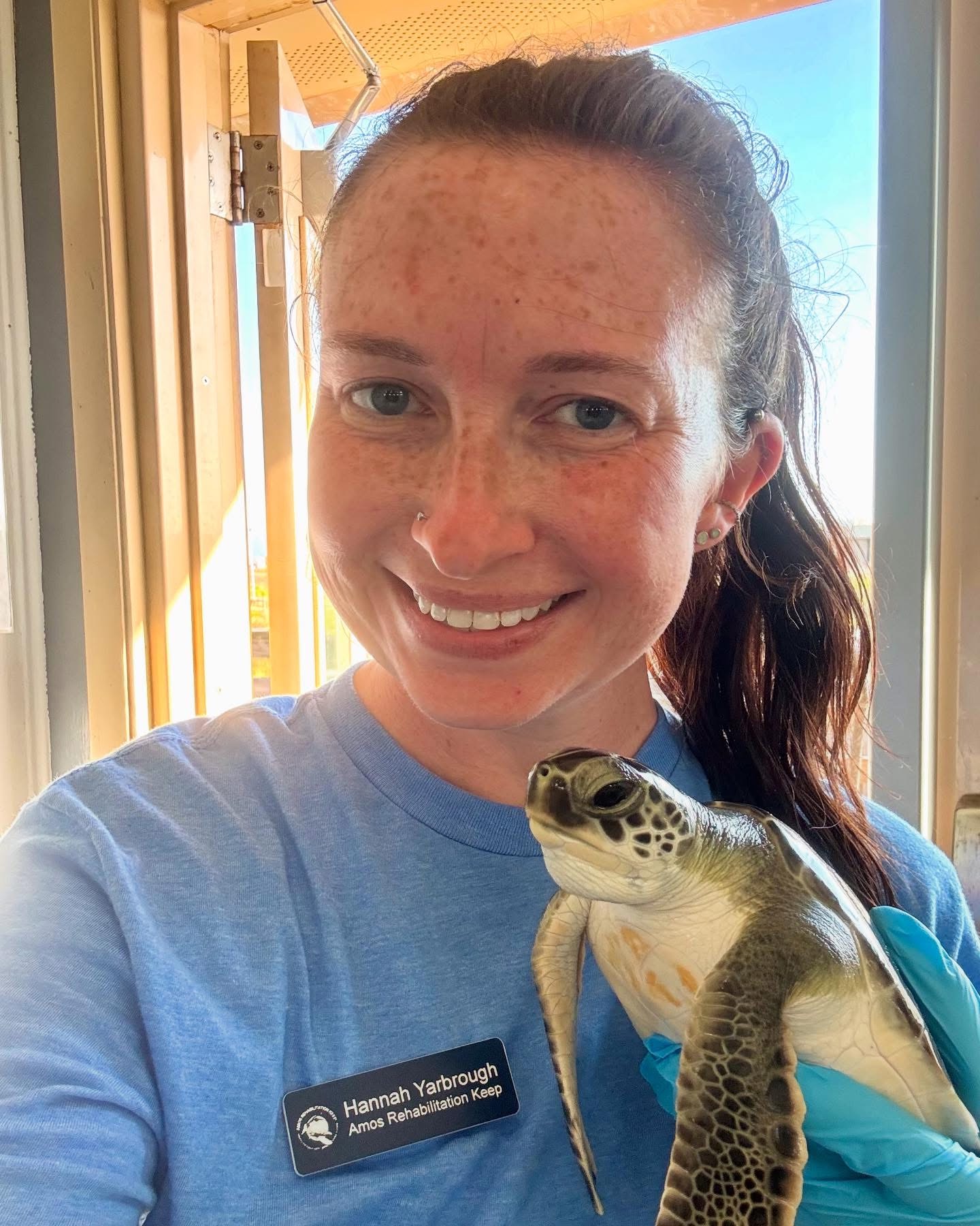 Hannah Yarbrough holding a rescued sea turtle at AMOS Rehabilitation Keep